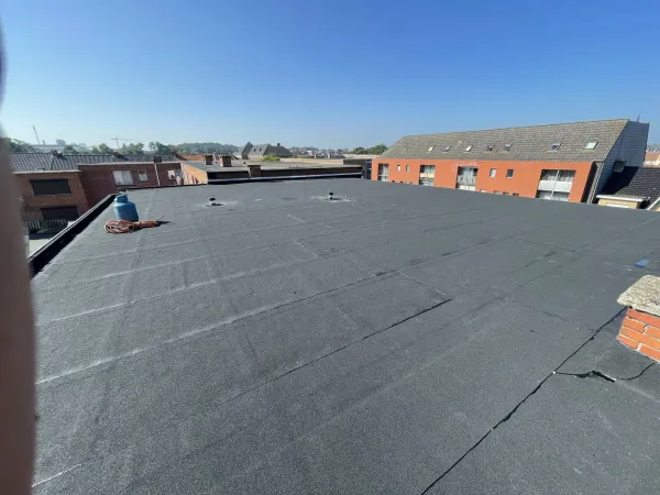 Dakrenovatie - Afbeelding 5